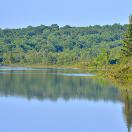1. תמונה של תמונת נוף שלווה הכוללת אגם שליו מוקף בעצים.